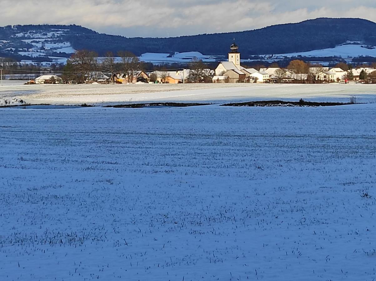Schoene Helle Ferienwohnung In Waldnaehe Berching Luaran gambar